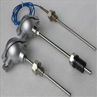WZP廣州防爆型溫(wen)度傳感器